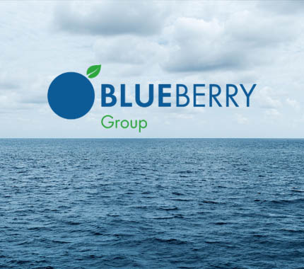 Blueberry Group